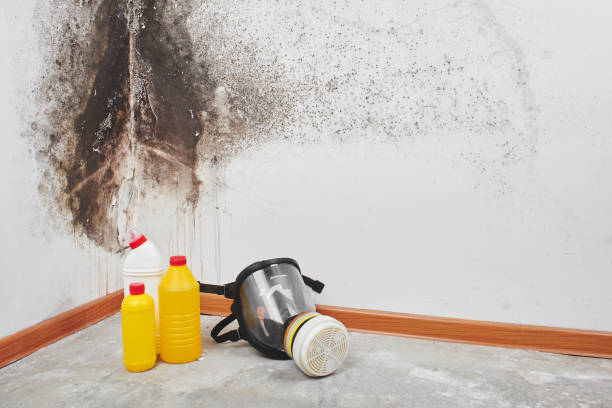 Best Crawl Space Mold Removal  in Pitman, NJ
