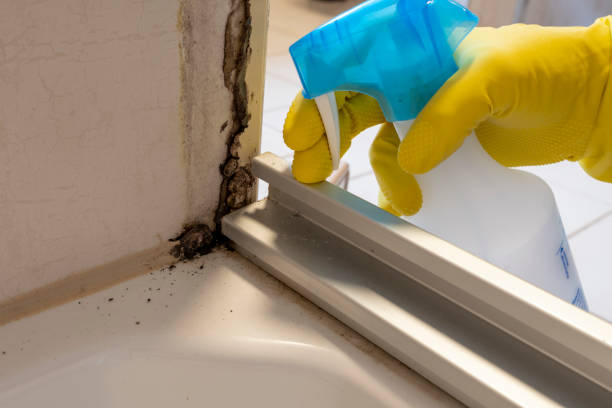 Best Mold Cleaning Services  in Pitman, NJ